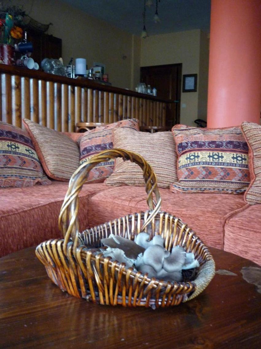Archontiko Christodoulou Aparthotel Vronteron  Ngoại thất bức ảnh